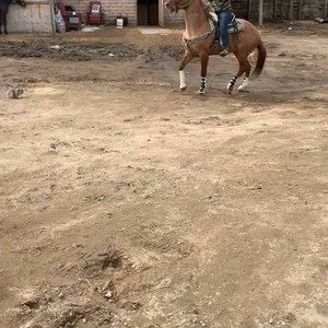 Meet your Posher, Oscar m